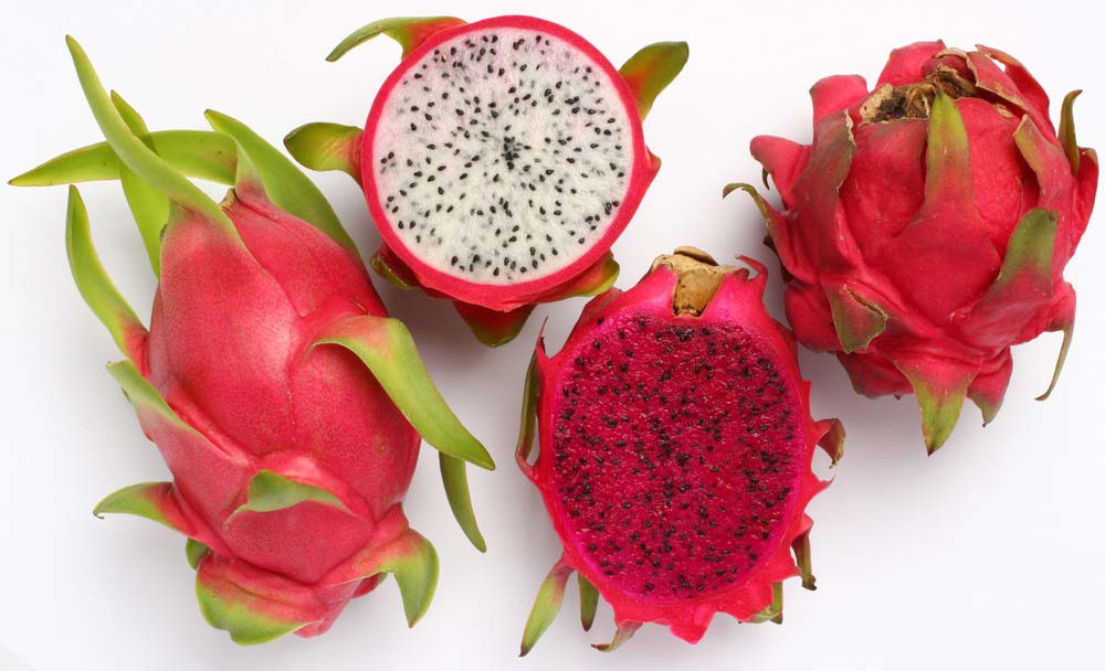 Benefícios da Pitaya Poliana Scarcella Nutricionista